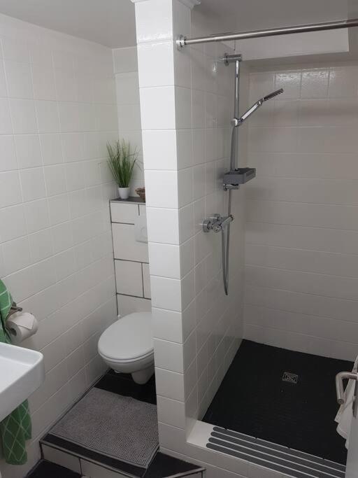 Ferienwohnung Bela, Naehe Nuerburgring Luxem Exteriör bild